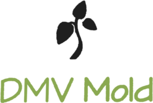 dmv mold logo