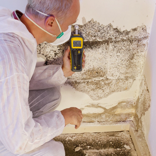 man using gadget to test mold Brookeville MD