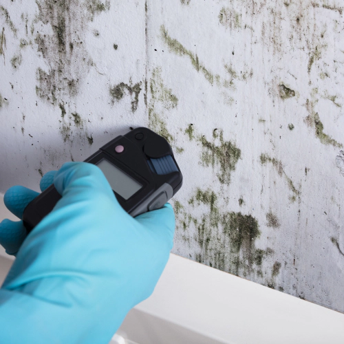 mold inspection Brookeville MD