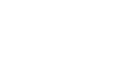 dmv mold white logo